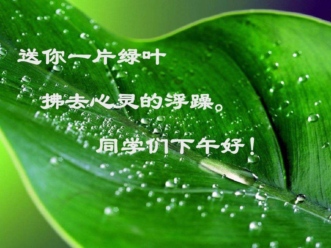 心理健康教育课程