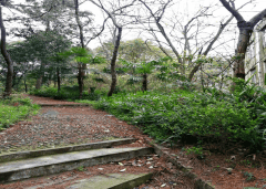 幽静小路