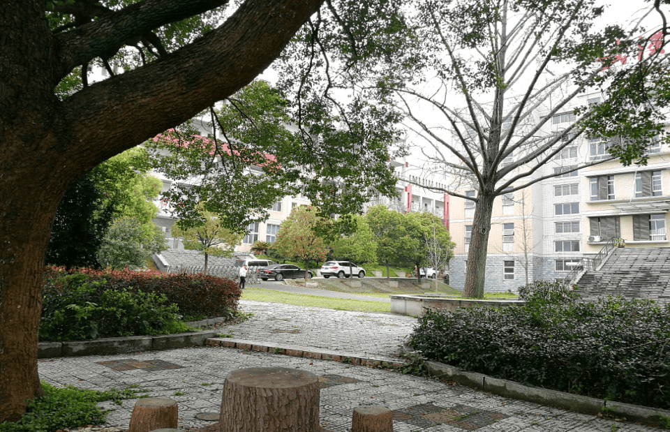 竹林