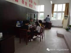 专业老师现场坐镇，学生选专业有了“指南针”